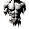 Male Muscular Torso Sketch Art