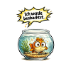Fish Humor Gift