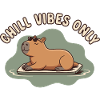 Chill Vibes Only Capybara Watershine