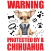 Chihuahua Chihuahueño Warning