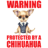 Chihuahua Chihuahueño Warning