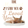Chihuahua Chihuahueño The Moment I