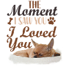 Chihuahua Chihuahueño The Moment I