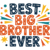 Best Big Brother Ever