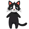 Black cat