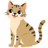 Katze