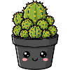 Kawaii Cactus Pot Garden