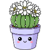 Kawaii Cactus Bloom Pot