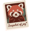 Red Panda Snapshot Joy