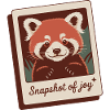 Red Panda Snapshot Joy