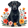 Chien labrador noir