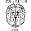 true strength is quiet