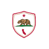 Irvine CA Bear Shield Emblem
