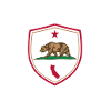 Endless Summer California Shield