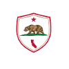 Cali Vibes California Shield