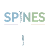 Certified Clinical Manual Restoration 