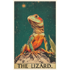 Lizards Lizard