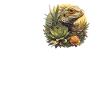Lizards Lizard