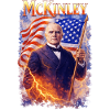 Patriotic hero print with flag