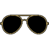 Iconic Gold & Black Aviator Goggles