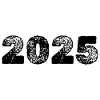 Year 2025