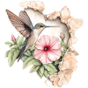 Kolibri med blomst