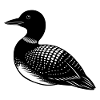 Loon