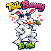 Bunny Bunny Spring Summer Easter Garden