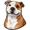 Cheerful Bulldog Mixed Breed Portrait