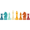 Rainbow Chess Game Pieces