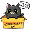 Schrodinger Cat Box Funny Cat