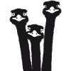 Nandu, ostrich head, emu, ostrich