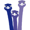 Nandu, ostrich head, emu, ostrich