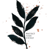 Protect Your Energy - Mindfulness Design