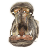 Hippo Hippo Mouth Illustration