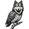 Eurasier | Howl