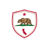 California Bear Flag Emblem