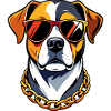 Cool Dog med solbriller og Guldkæde Doglife