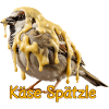 Ost Spätzle Spatz Sjov Schwabisk Ost
