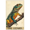 Lizards Lizard