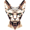Sphynx Cat Sphynx Cat Canadian Cat Cute Sphinx