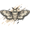 Moth Moth Illustration