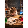 Chico11: Scientist