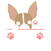 Chihuahua Chihuahueño Pun Stay