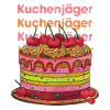 Kuchenjäger bunte Cake Layers