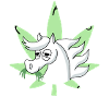 Always on weed