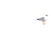 Fehmarn Love