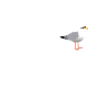 Lübeck Möwe