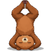 Yoga Bear in Headstand
