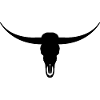 Longhorn head skull